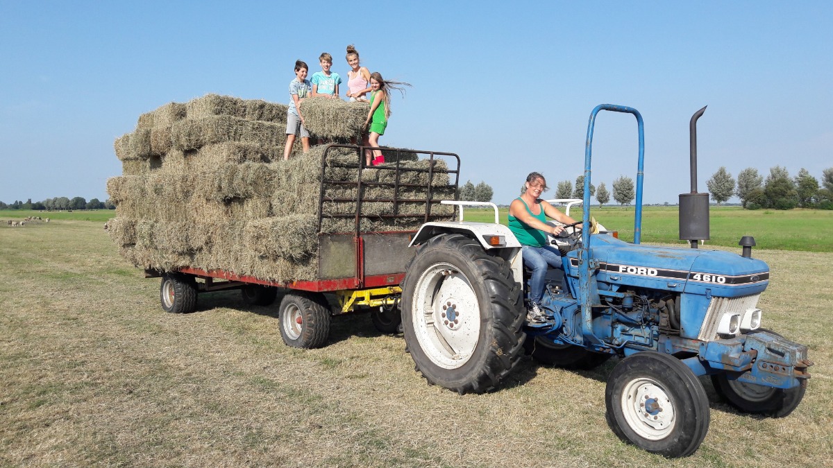 Boerderij Kortmann Logies