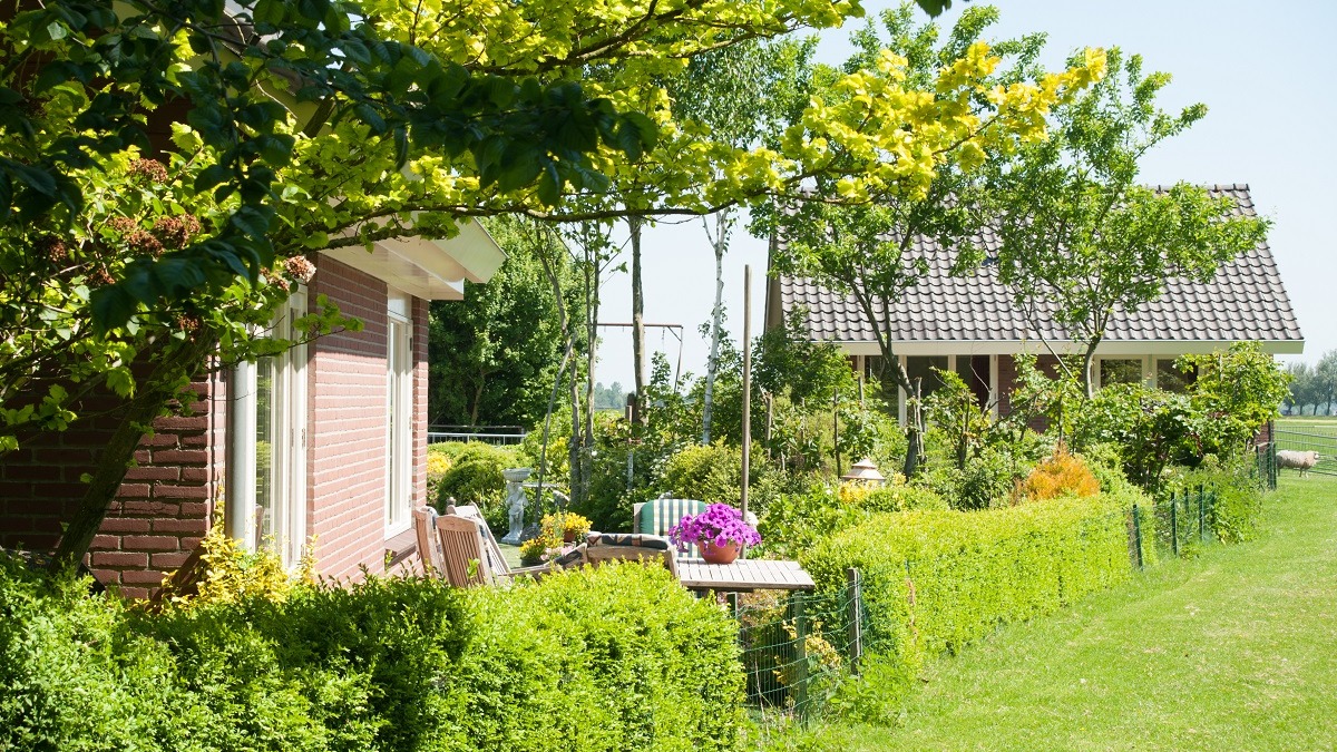 Weidezicht